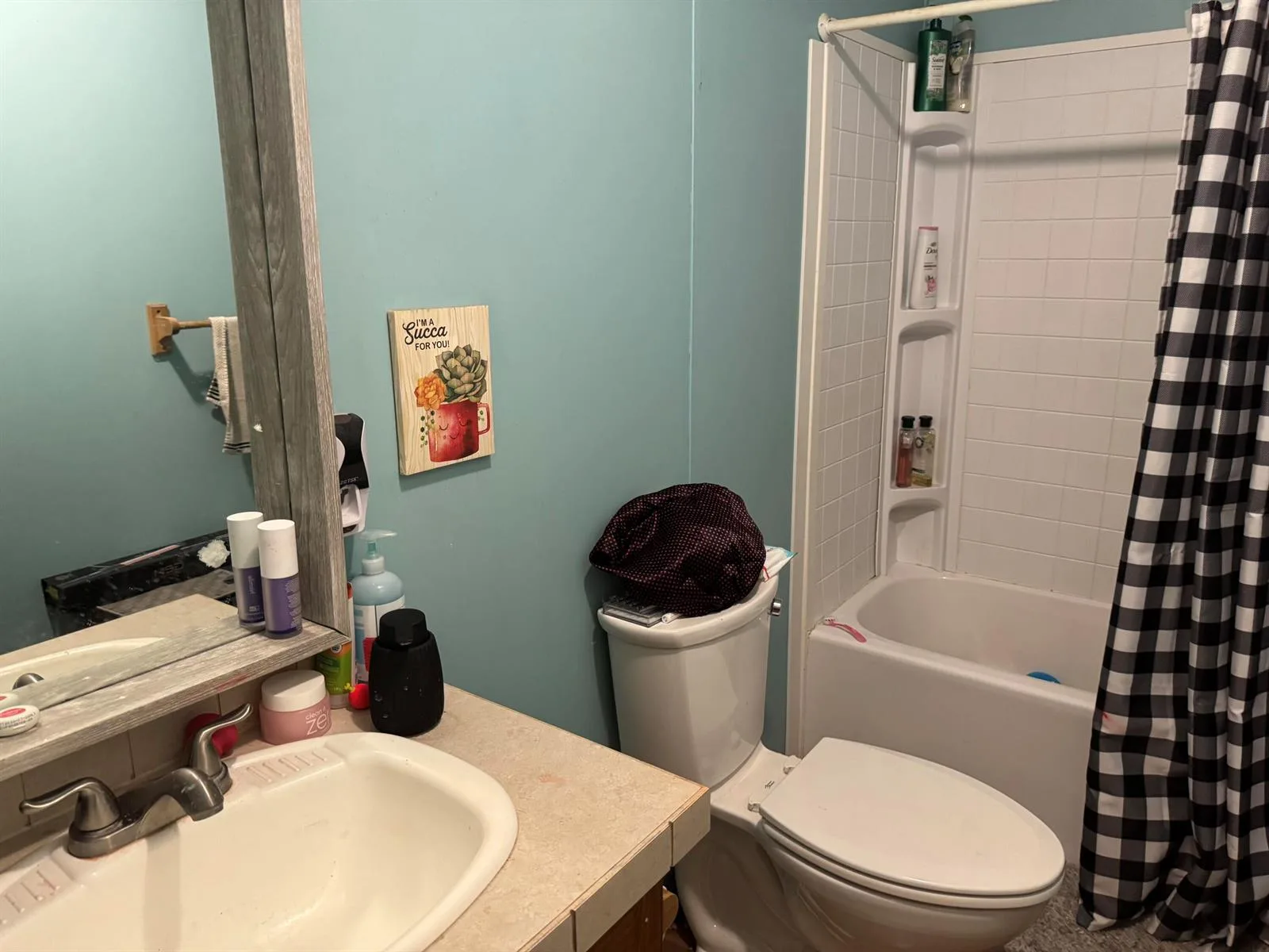 8115 SE 57th Drive, Okeechobee, FL 34974 photo 12