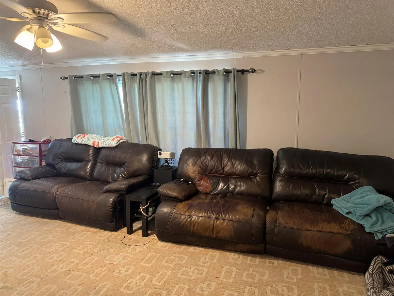 8115 SE 57th Drive, Okeechobee, FL 34974 photo 8
