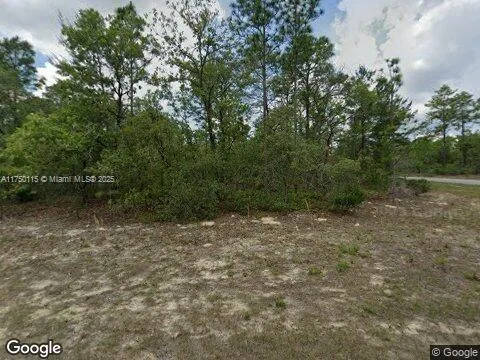 6568 N Dunlap Ter, Citrus Springs, FL 34434