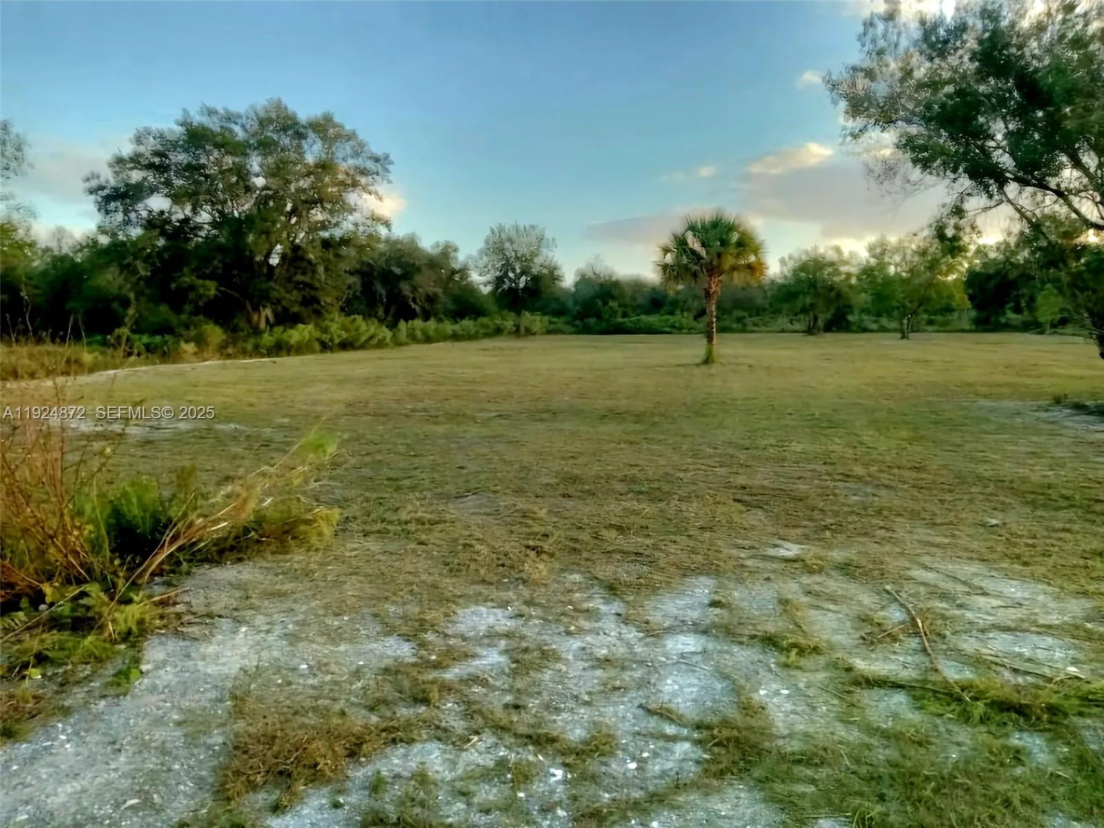 17212 NW 288 st, Okeechobee, FL 34972 photo 4