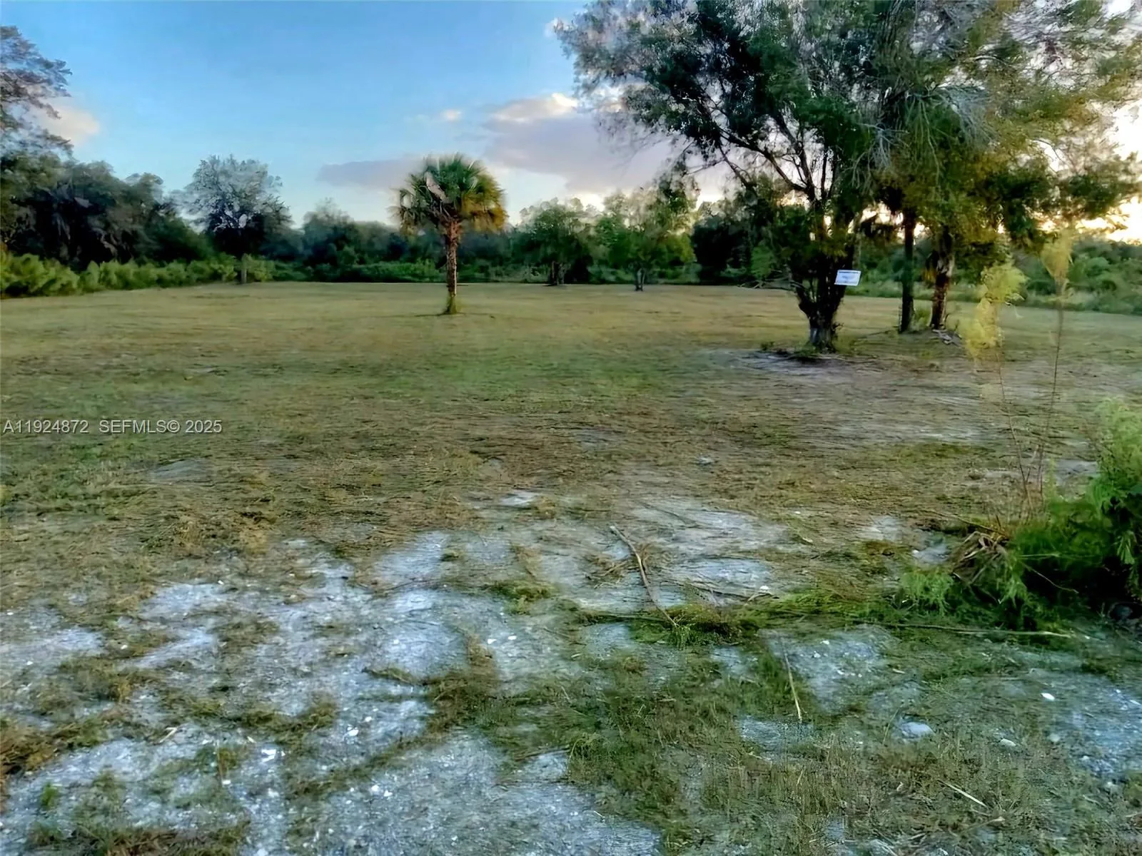 17212 NW 288 st, Okeechobee, FL 34972 photo 5