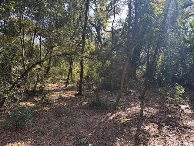 0 County Rd 54, FL 33849