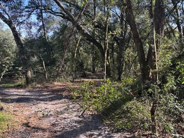 0 County Rd 54, FL 33849 photo 2