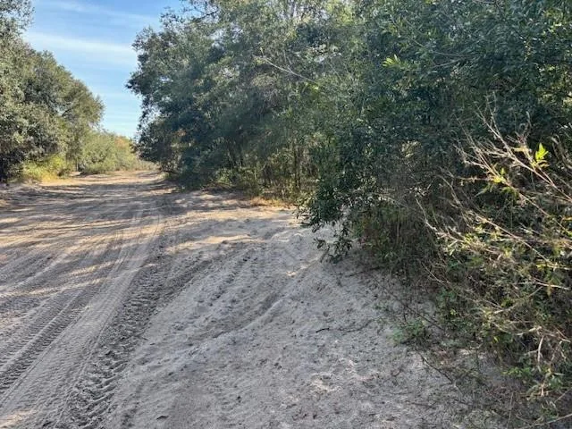 0 County Rd 54, FL 33849 photo 3