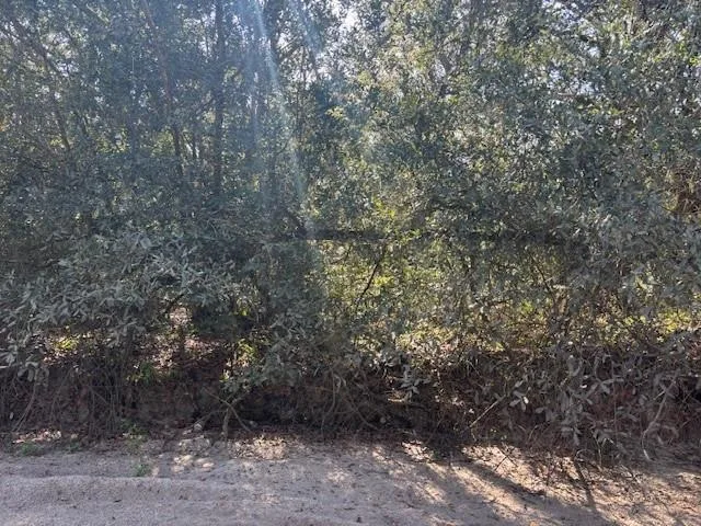0 County Rd 54, FL 33849 photo 4