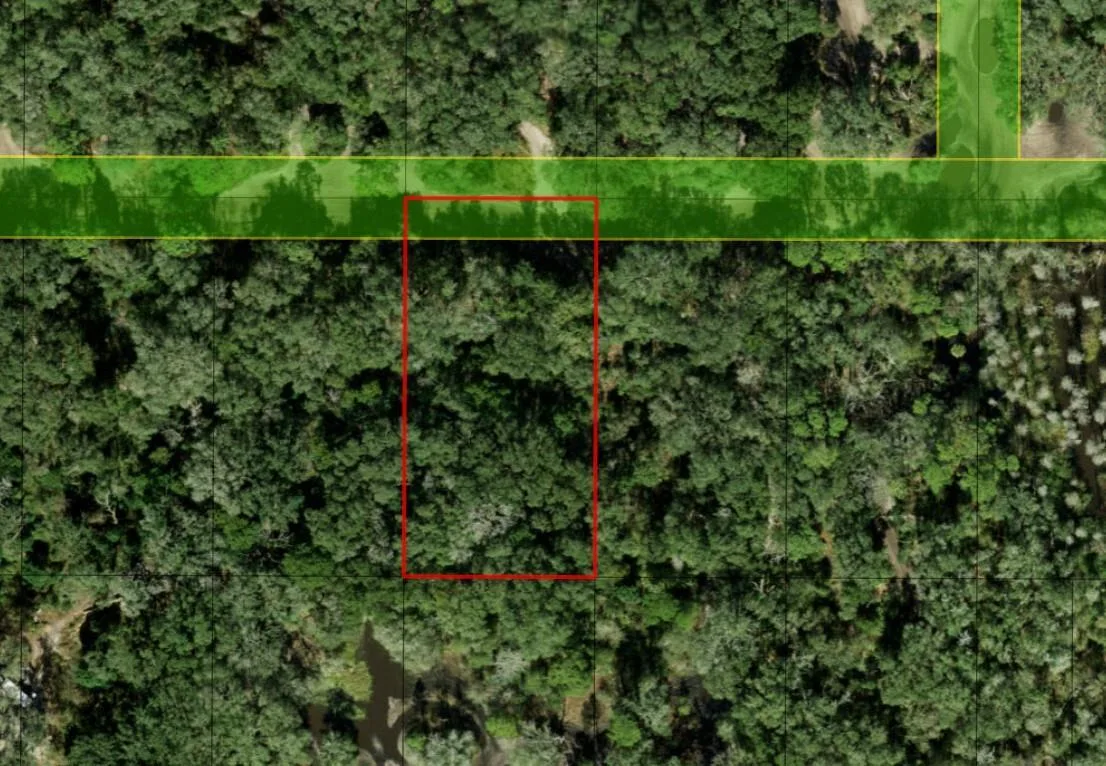 0 County Rd 54, FL 33849 photo 5