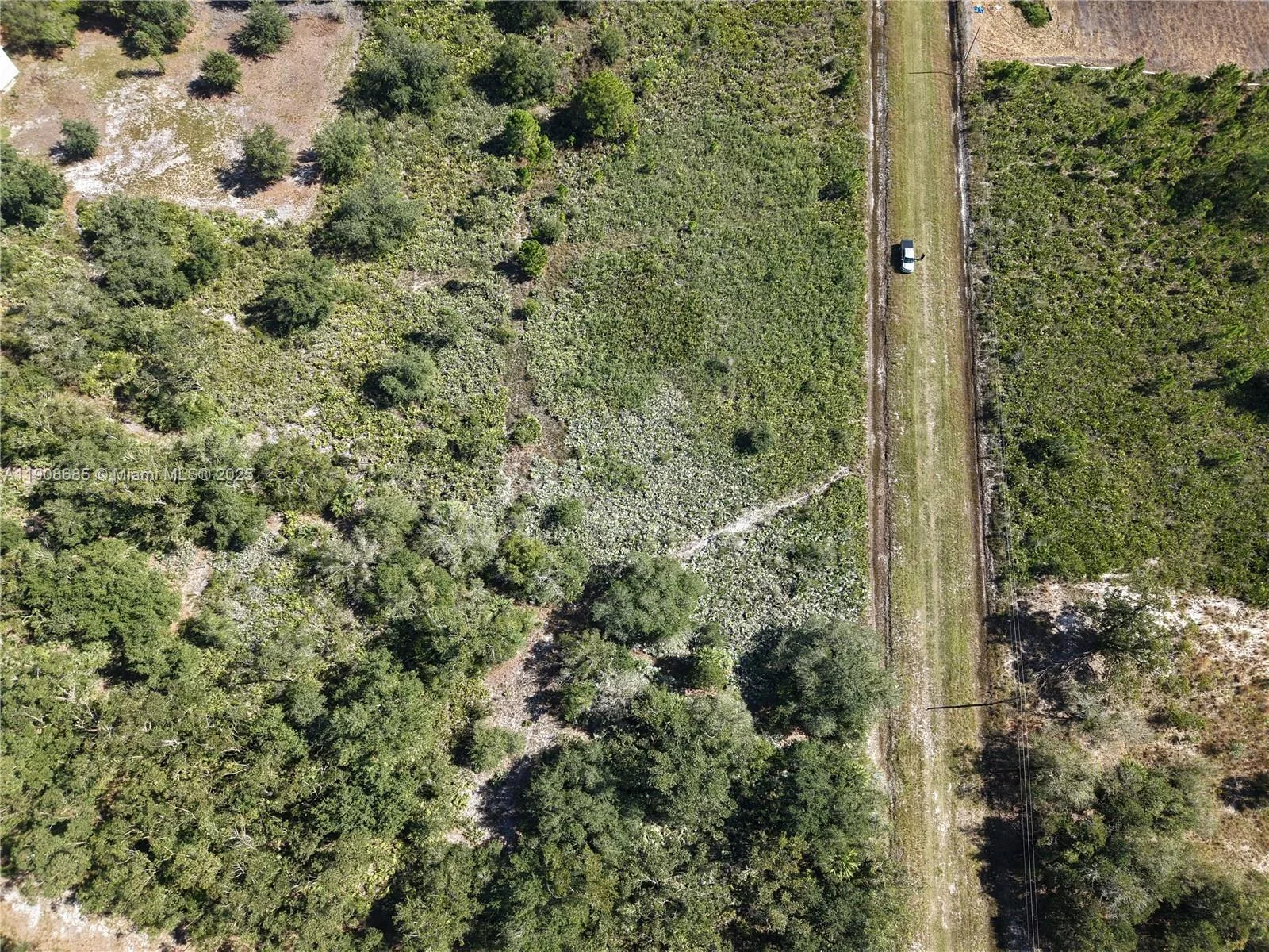 15527 NW 252ND, Okeechobee, FL 34972 photo 11