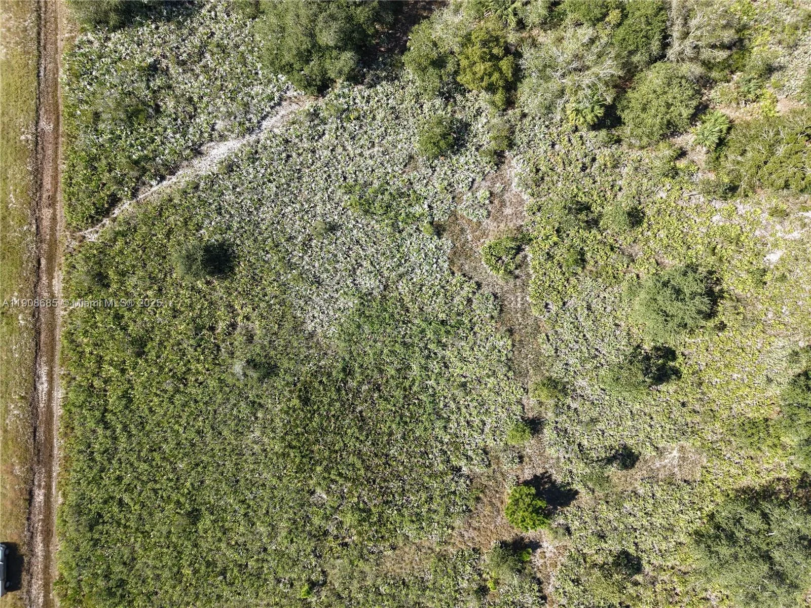 15527 NW 252ND, Okeechobee, FL 34972 photo 3
