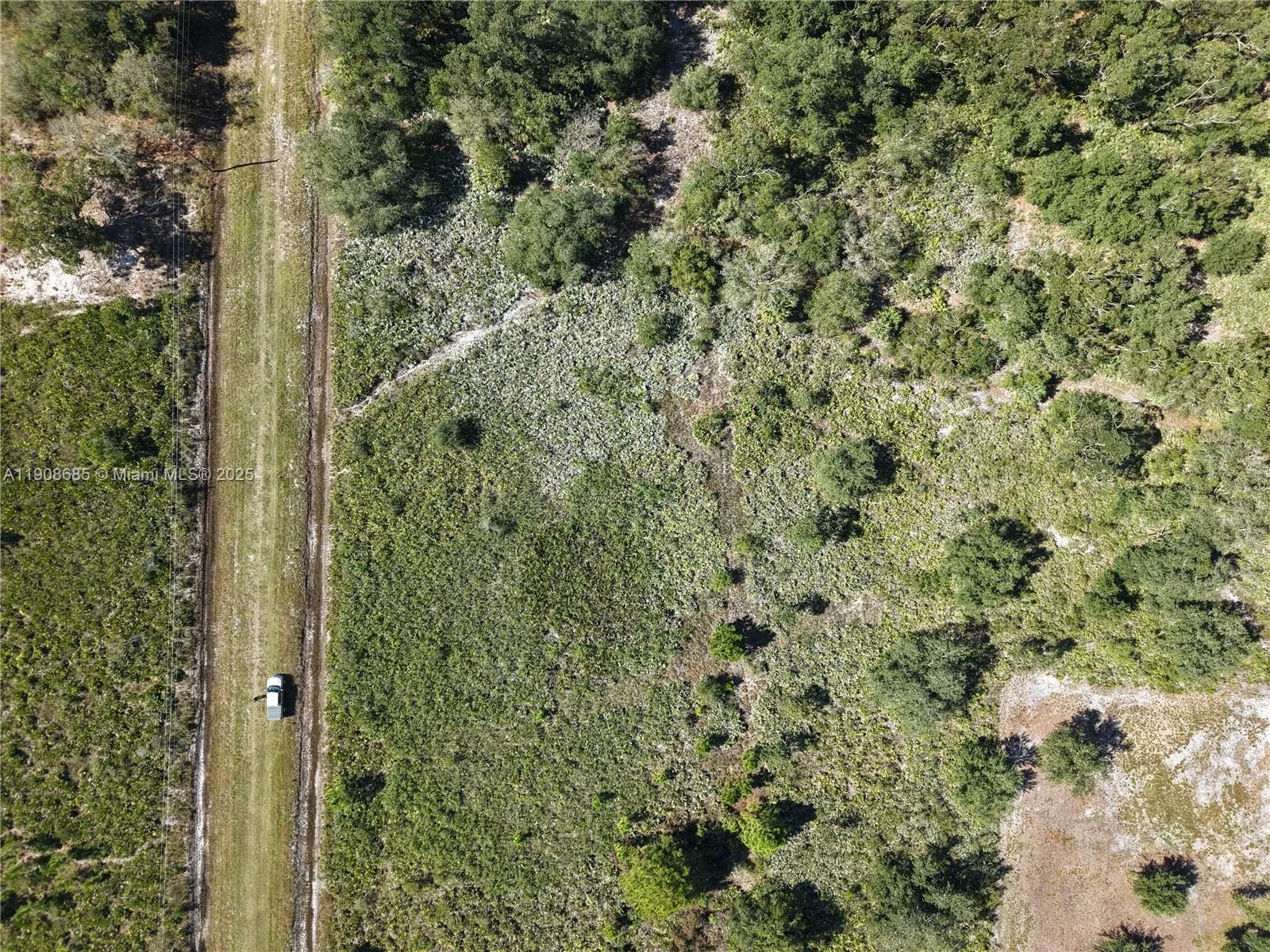 15527 NW 252ND, Okeechobee, FL 34972 photo 4