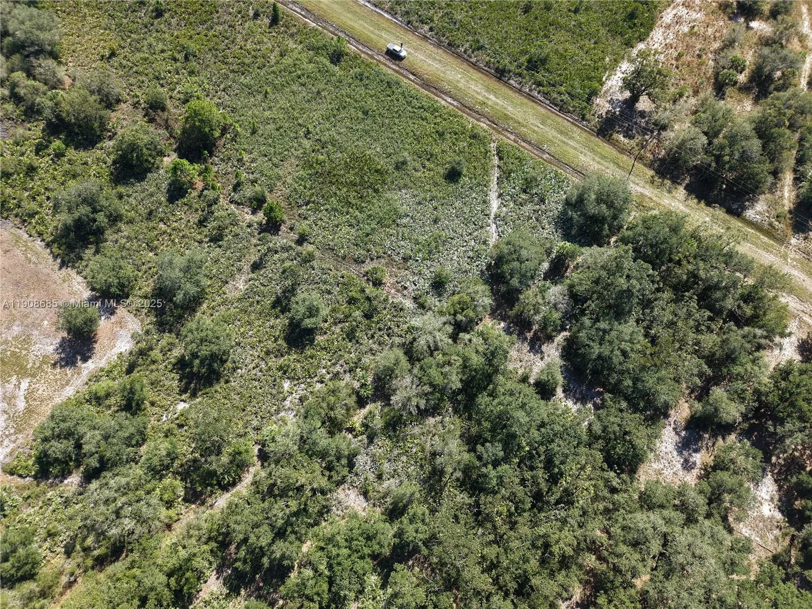 15527 NW 252ND, Okeechobee, FL 34972 photo 9