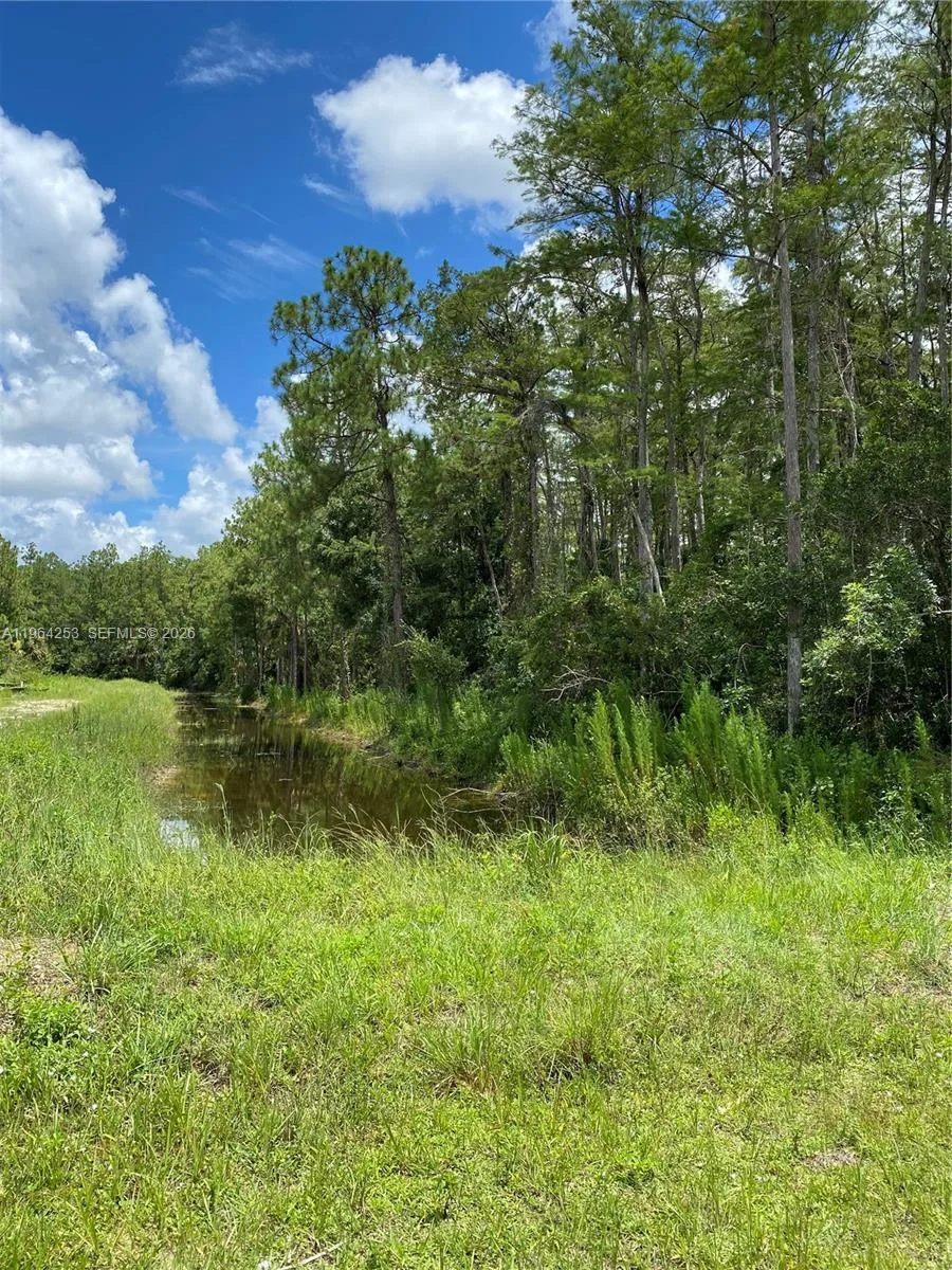 166 Ocean Park Dr, Lehigh Acres, FL 33972 photo 3