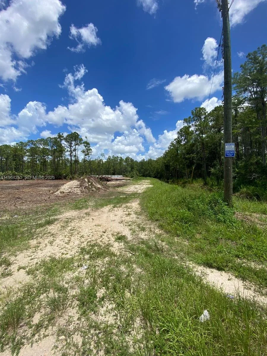 166 Ocean Park Dr, Lehigh Acres, FL 33972 photo 4
