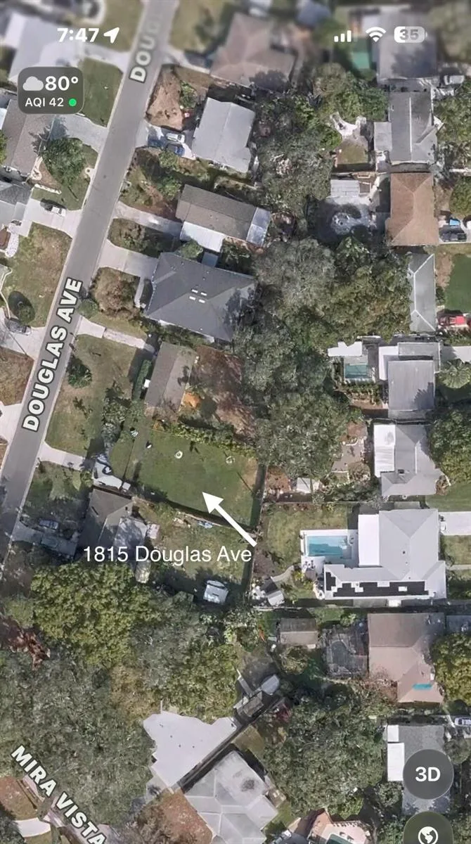1815 Douglas Avenue, FL 34698 photo 2