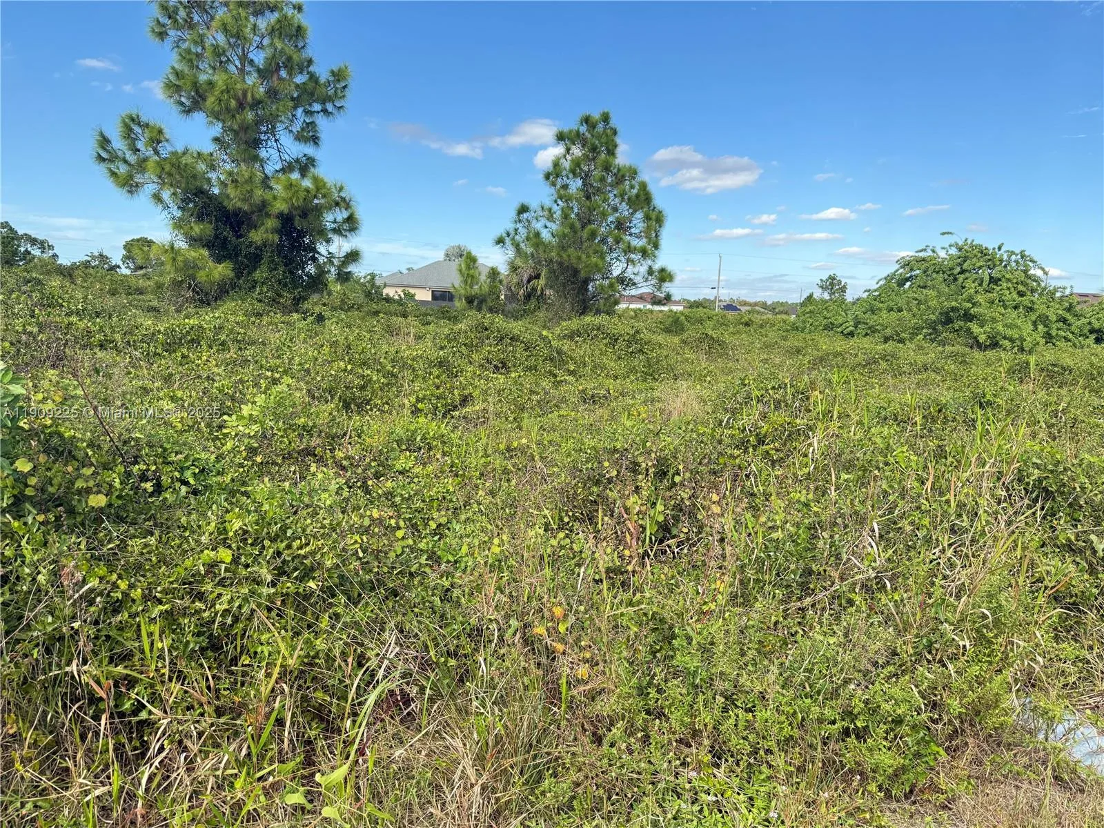 521 E TRINITY ST, Lehigh Acres, FL 33974