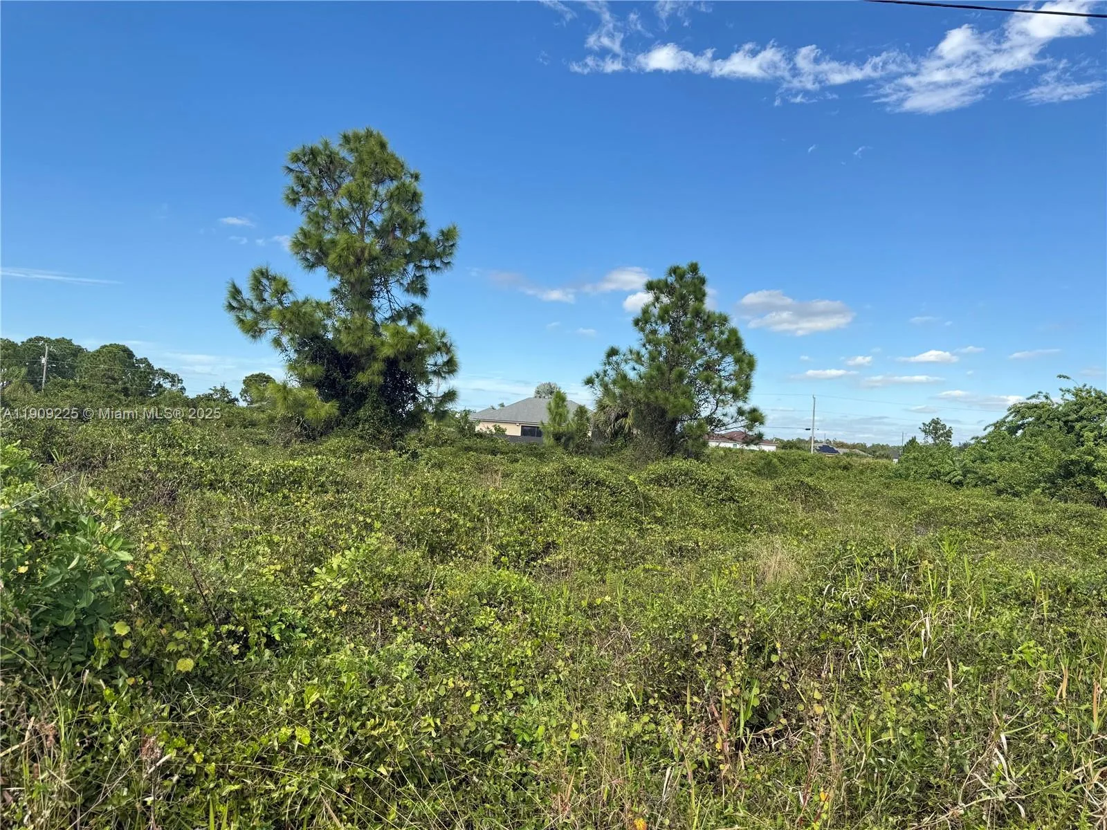 521 E TRINITY ST, Lehigh Acres, FL 33974 photo 2