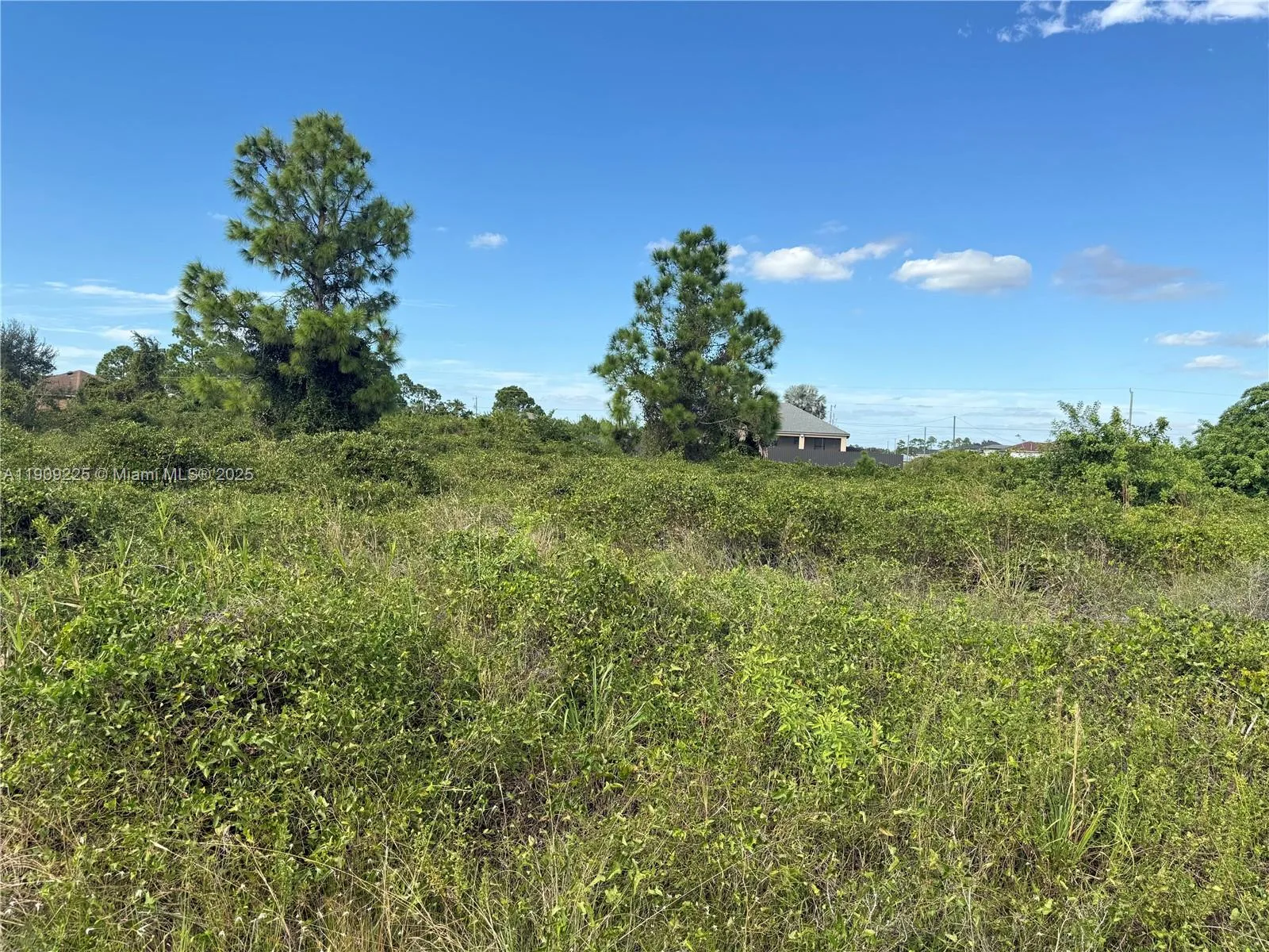521 E TRINITY ST, Lehigh Acres, FL 33974 photo 3