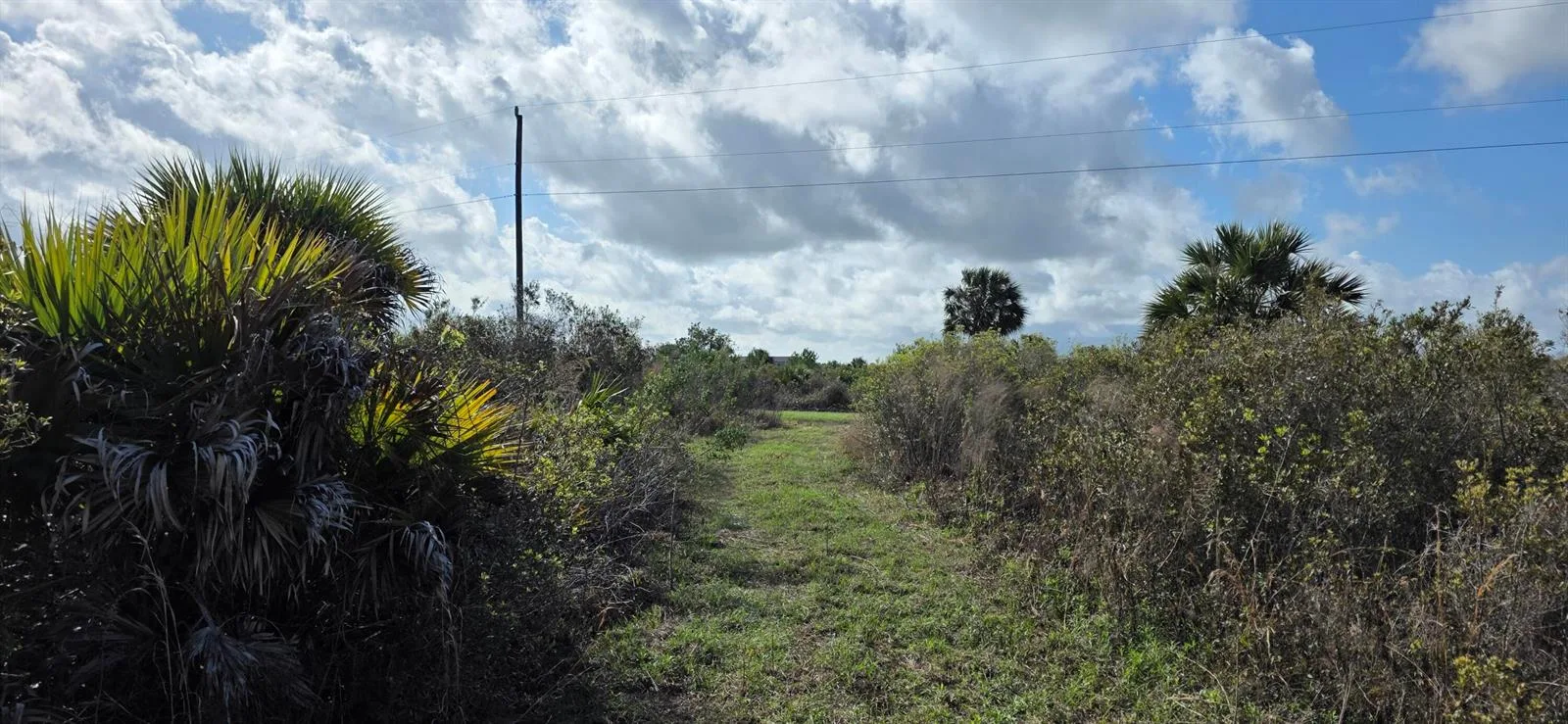 16529 NW 264TH Street, Okeechobee, FL 34972 photo 5