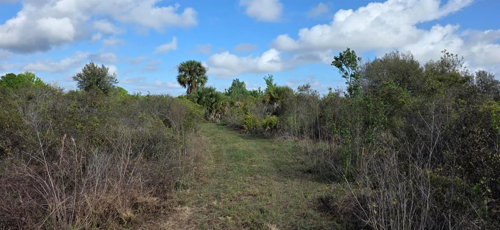 16529 NW 264TH Street, Okeechobee, FL 34972 photo 6