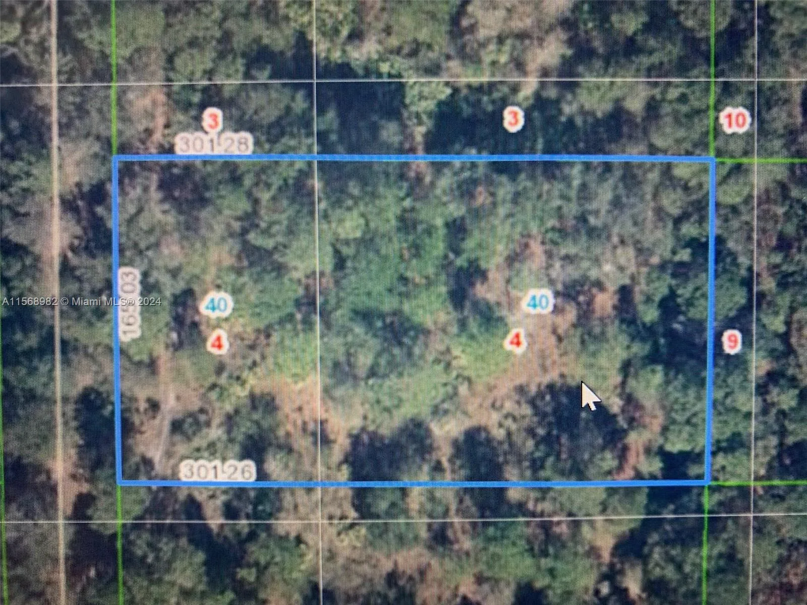 1939 S Griese Road, Avon Park, FL 33825