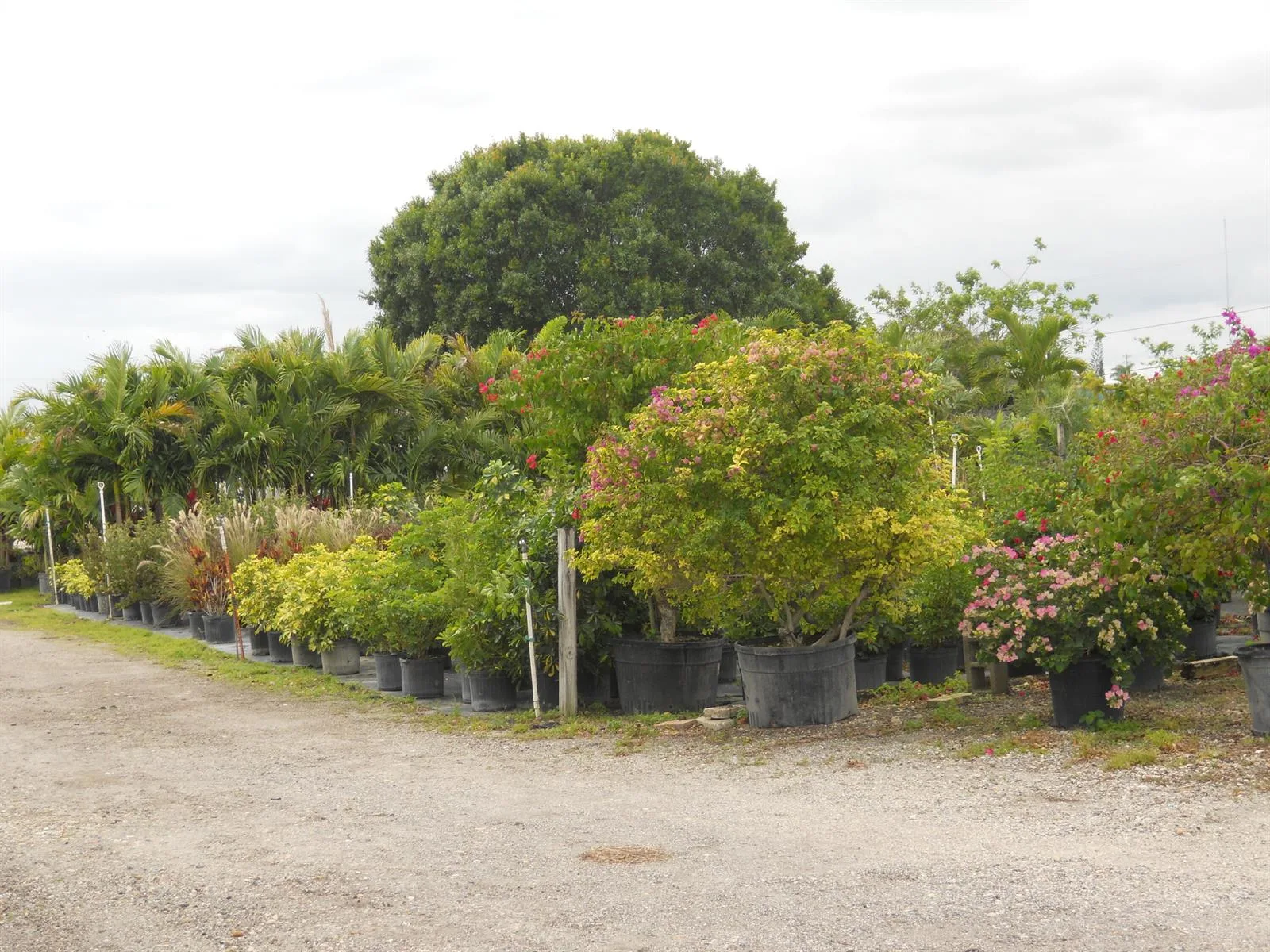 0000 Boynton Beach Blvd, Boynton Beach, FL 33472