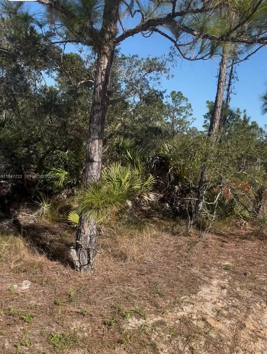 1846 NOLANA AVE, Sebring, FL 33875 photo 3