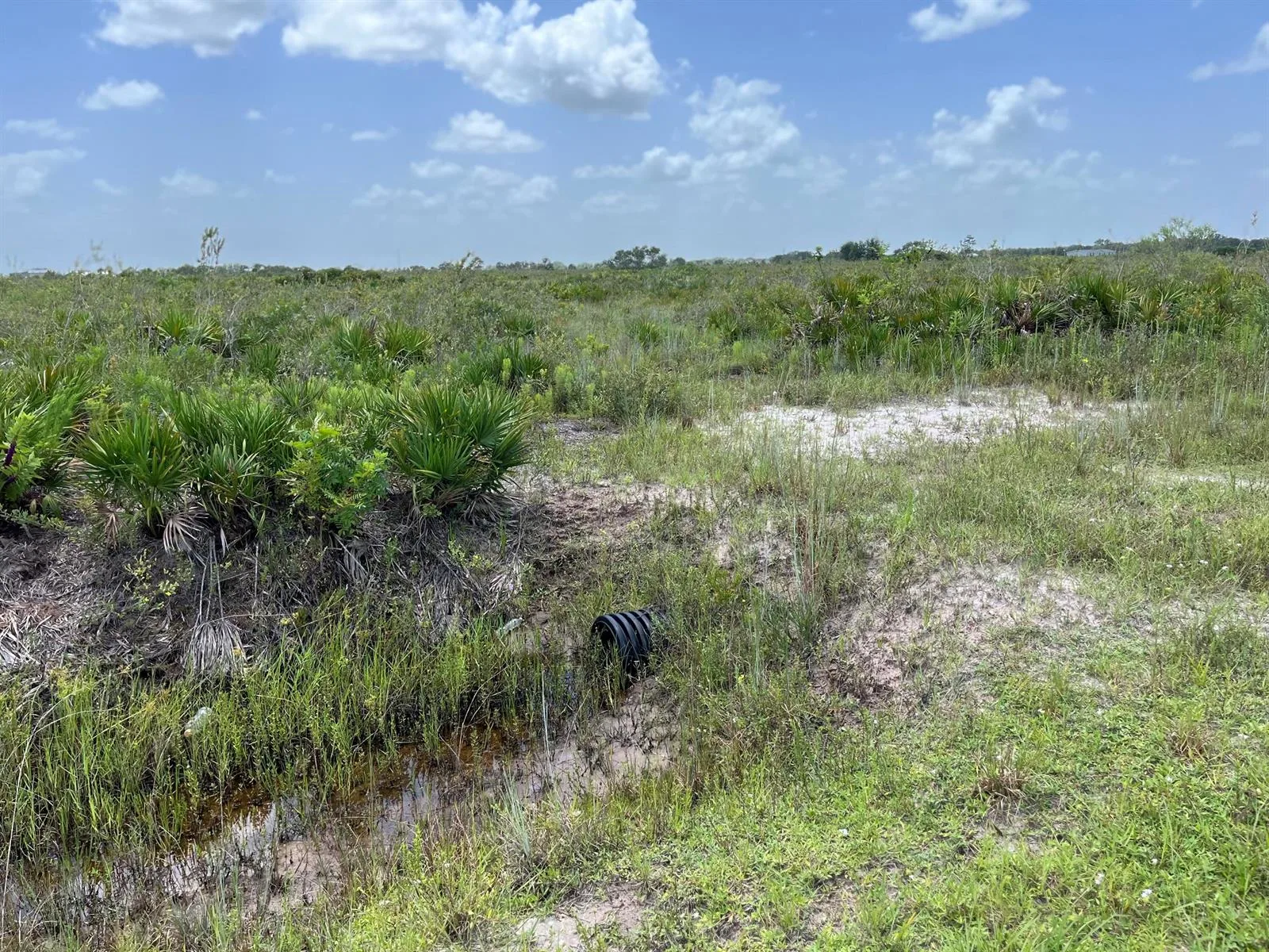 20106 NW 254th Street, Okeechobee, FL 34972 photo 9