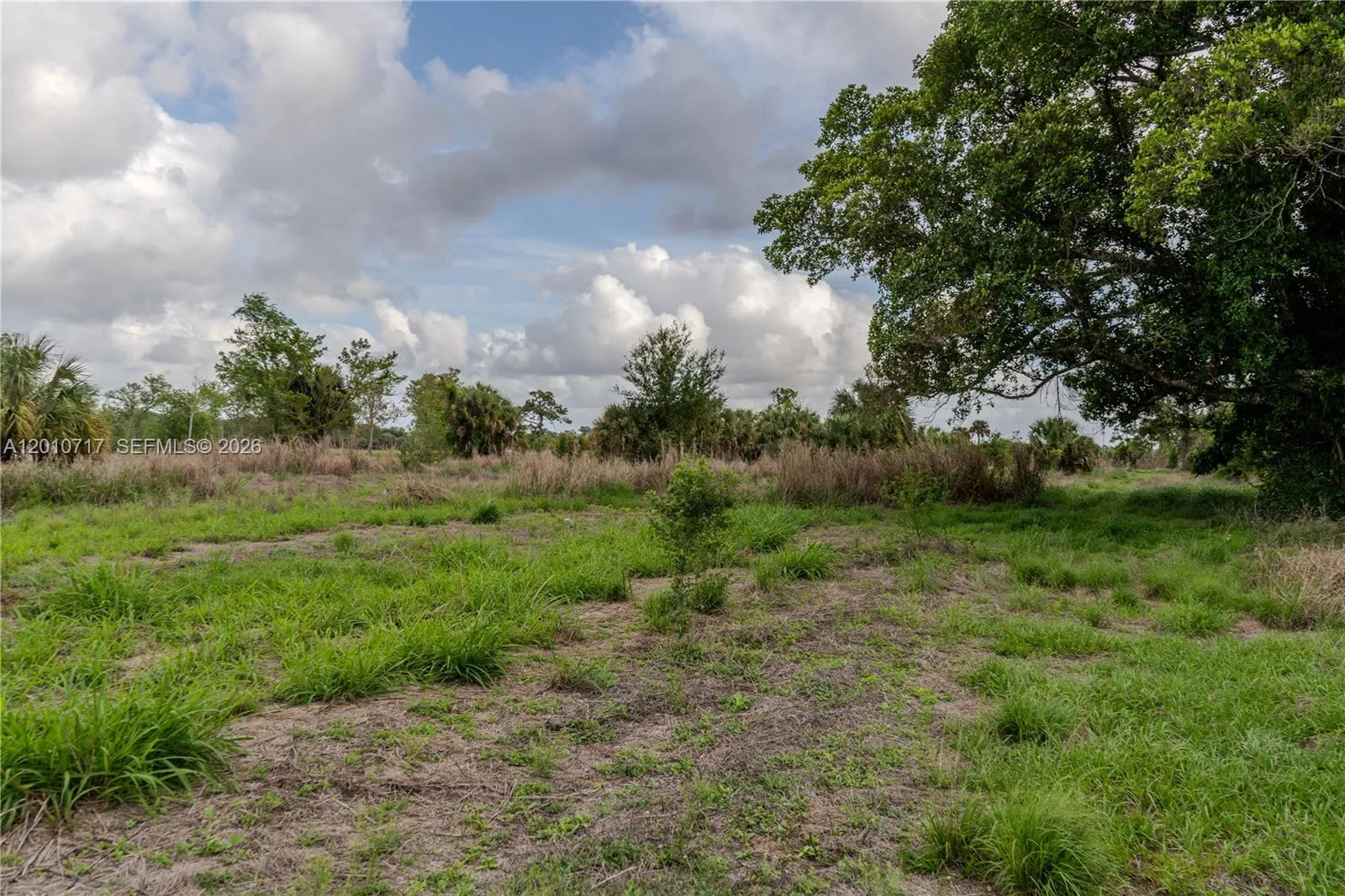 3921 Ft. Denaud Rd, La Belle, FL 33935 photo 3