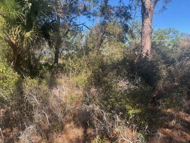 221 Rainbow Drive, Lake Placid, FL 33852