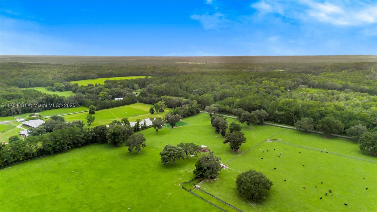 00 NW 193, Ocala FL 32667