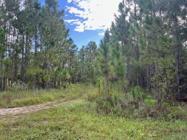 1135 Greenfield Street, Lake Placid, FL 33852 photo 2