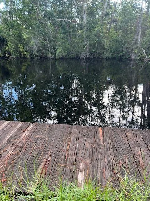 1135 Greenfield Street, Lake Placid, FL 33852 photo 4
