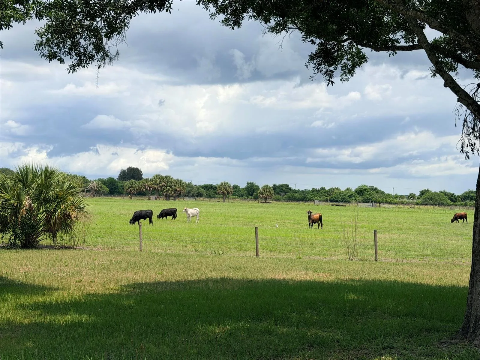 1206 SE 10th Street, Okeechobee, FL 34974 photo 3