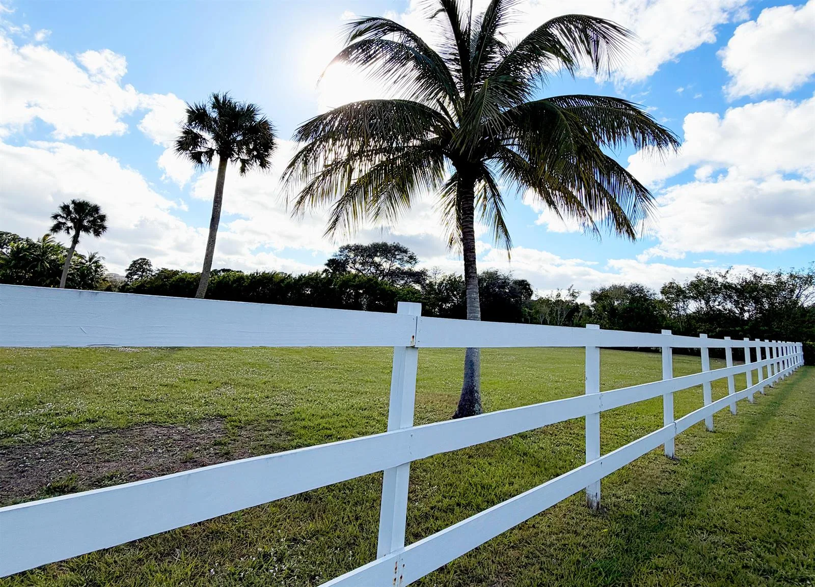 4656 Lillian Avenue, Palm Beach Gardens, FL 33418 photo 3