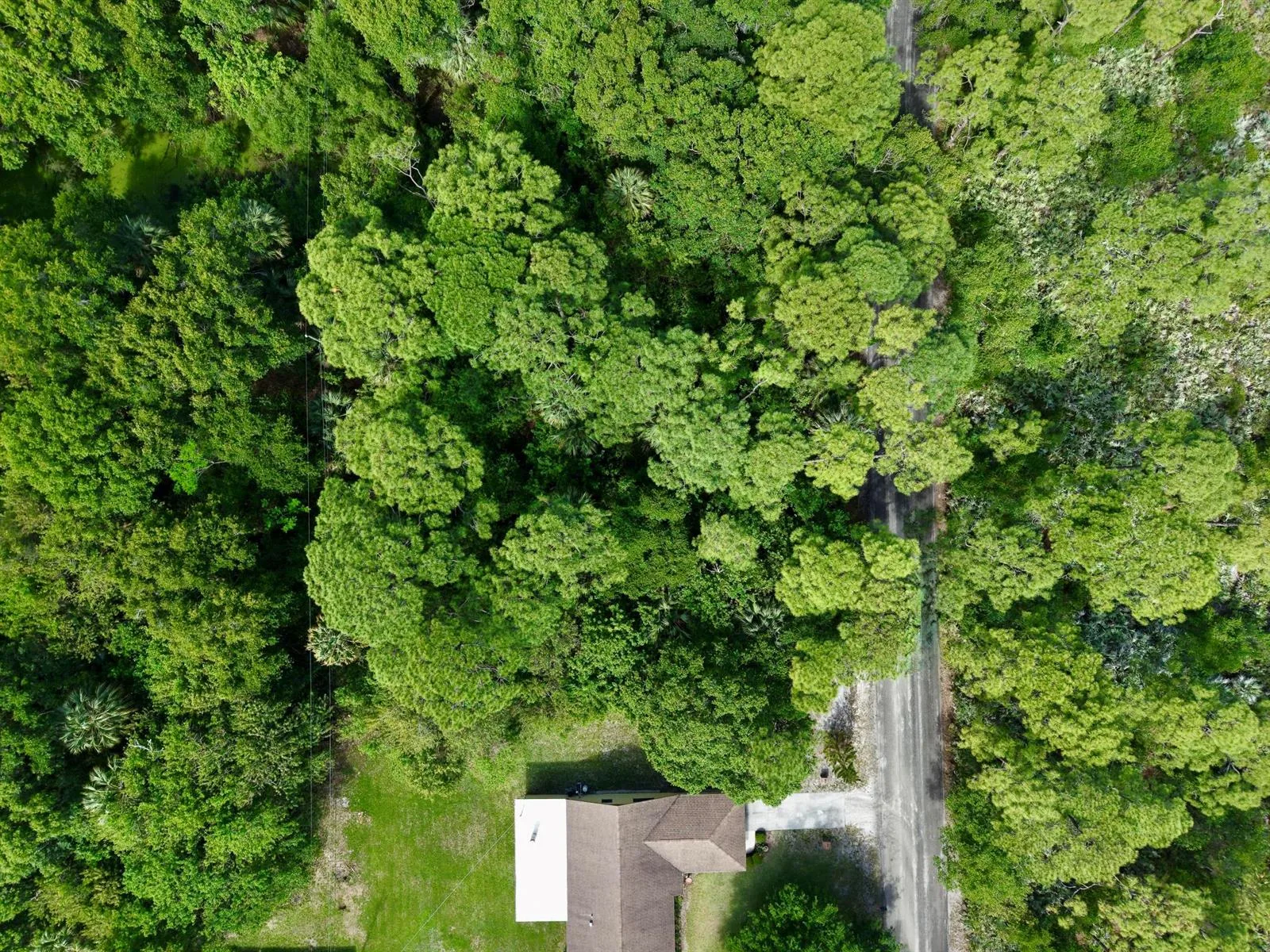0000 Notlem Drive, Fort Pierce, FL 34982 photo 11