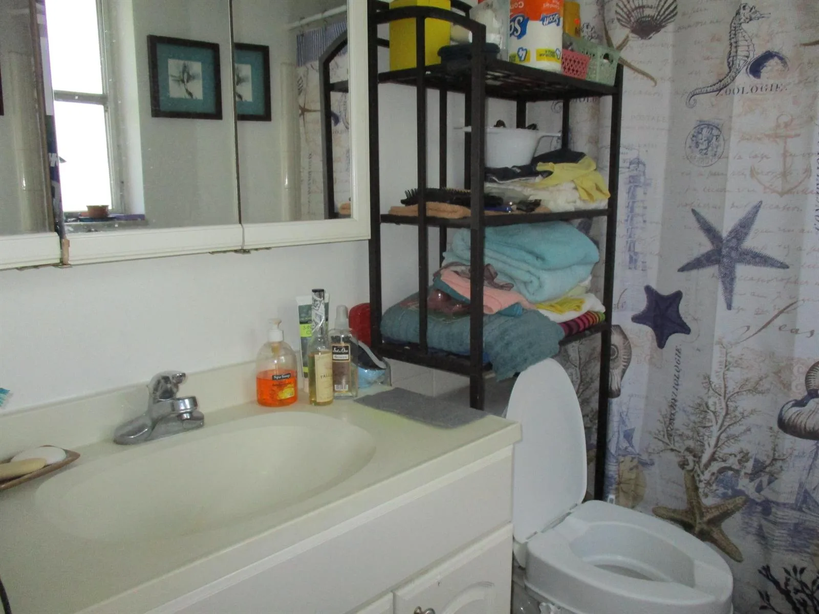 3720 Harrison Street # 3, Hollywood, FL 33021 photo 8