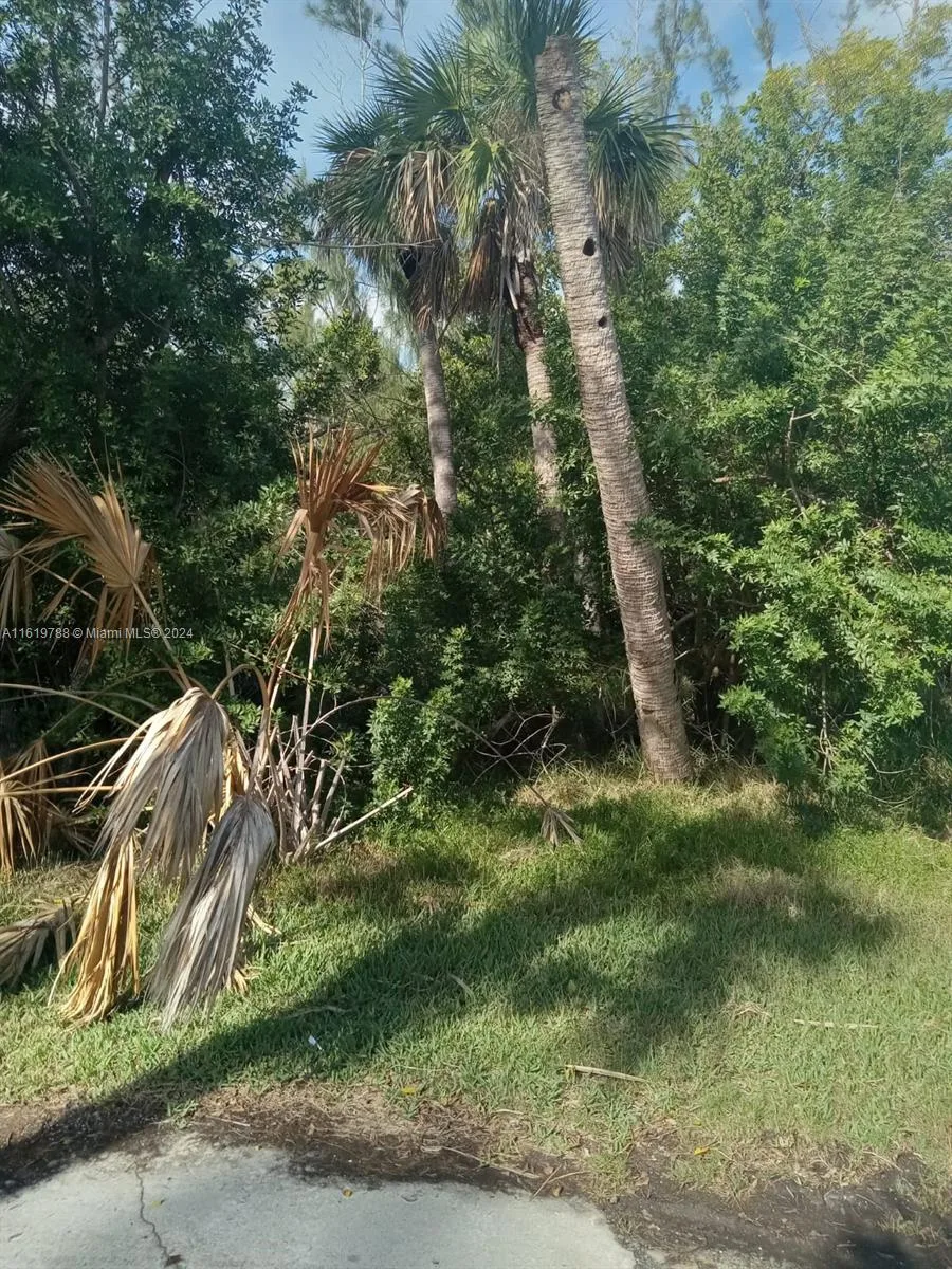 215 Glenholm  Ave, Other City - In The State Of Florida, FL 33950 photo 6