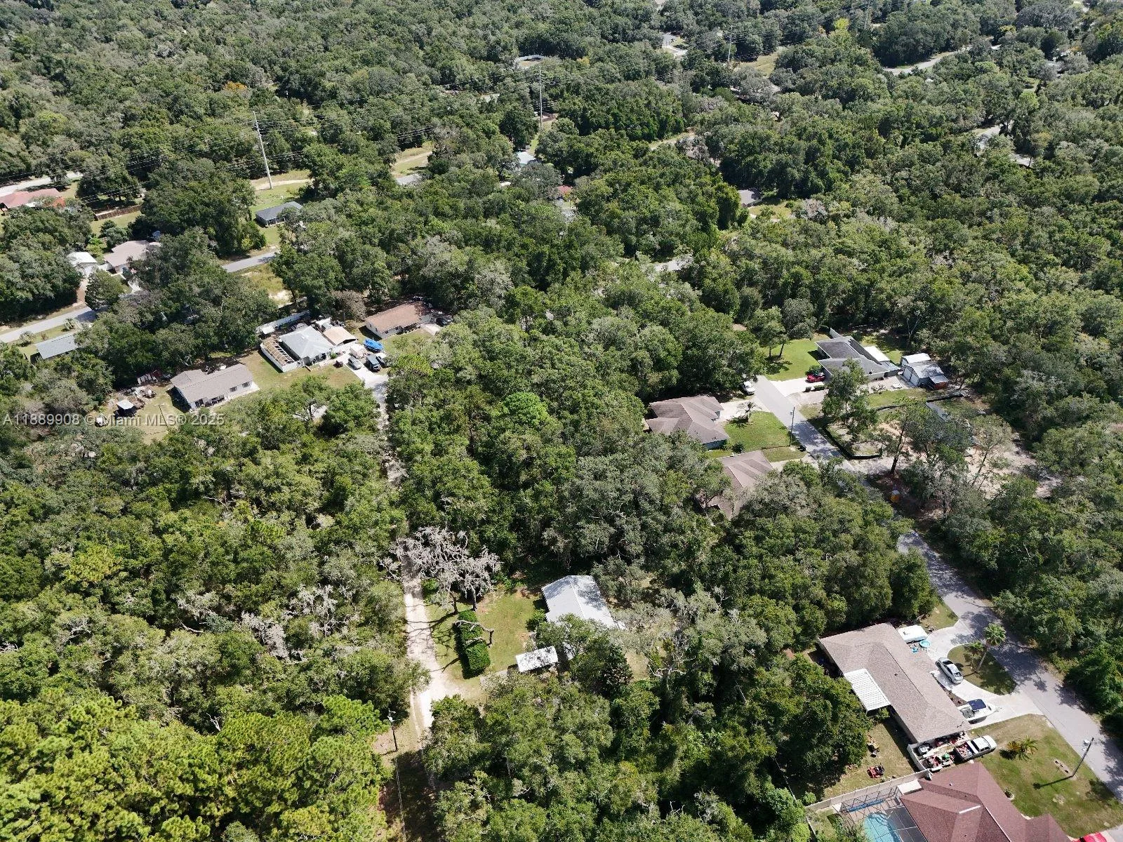 3578 E LOU LANE, Inverness, FL 34453 photo 3