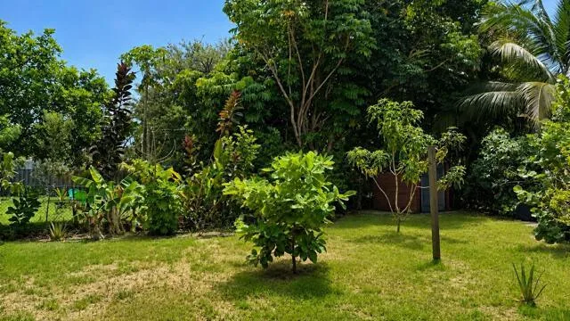 716 SW 19th Street, Fort Lauderdale, FL 33315 photo 11