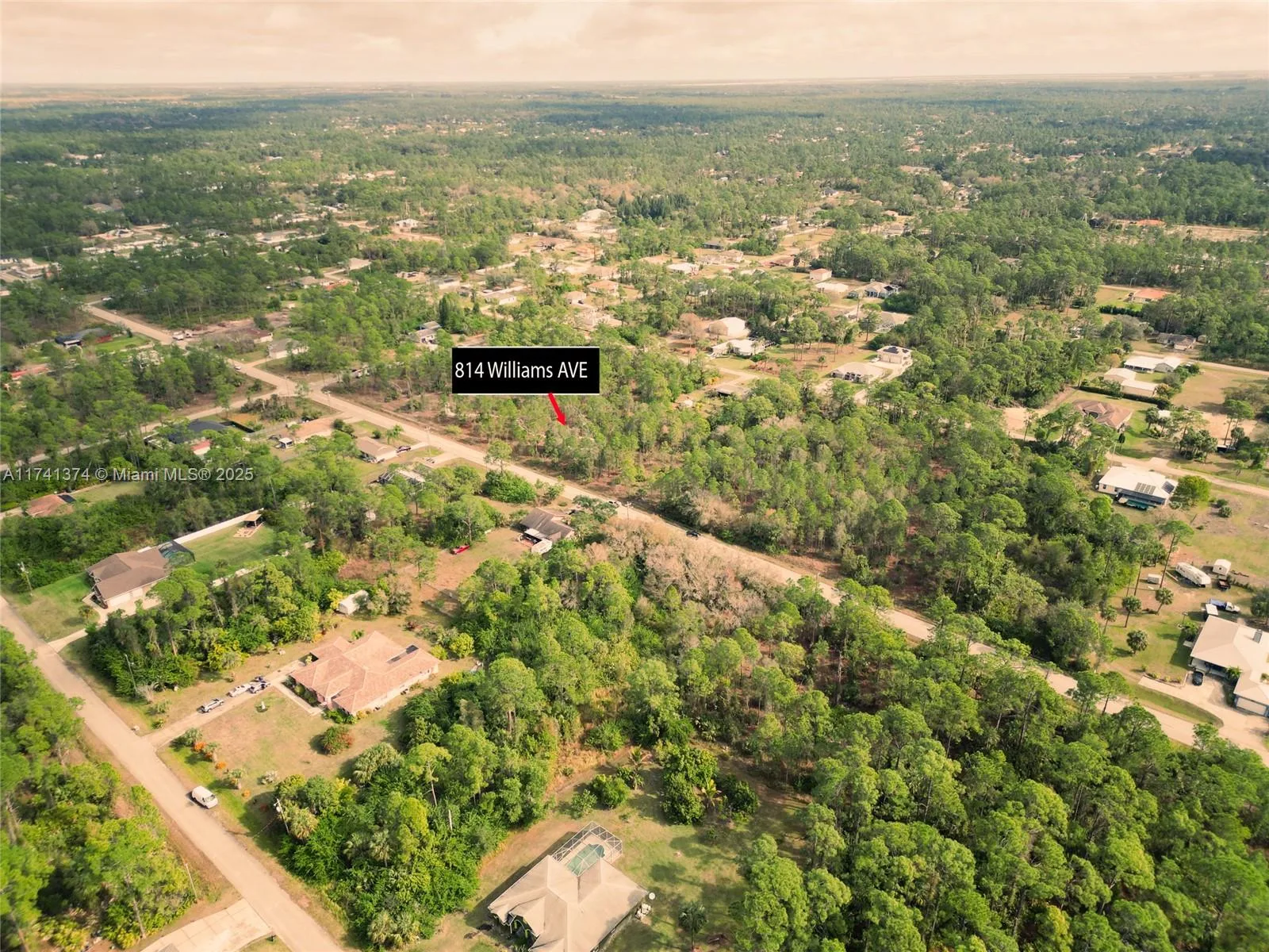 814 WILLIAMS AVE, Lehigh Acres, FL 33972
