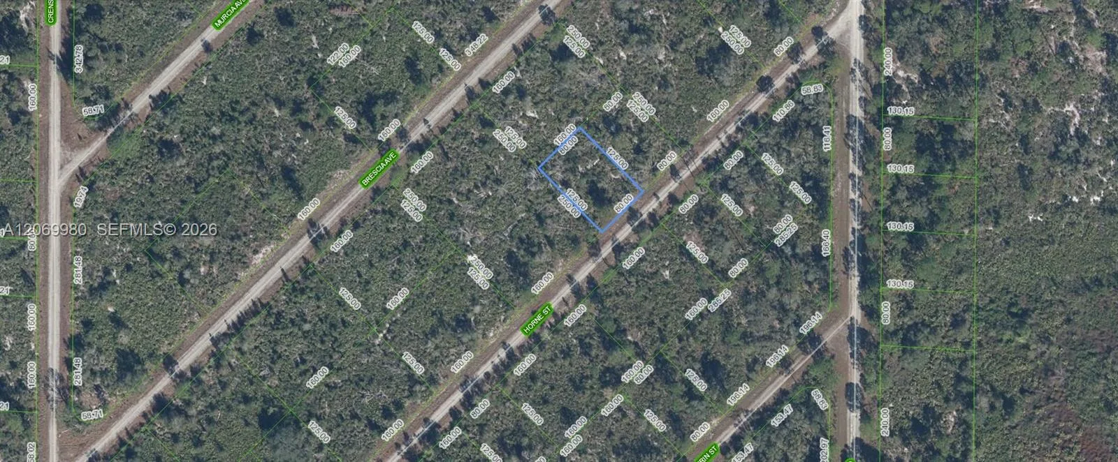 3517 HORNE STREET, Lake Placid, FL 33852