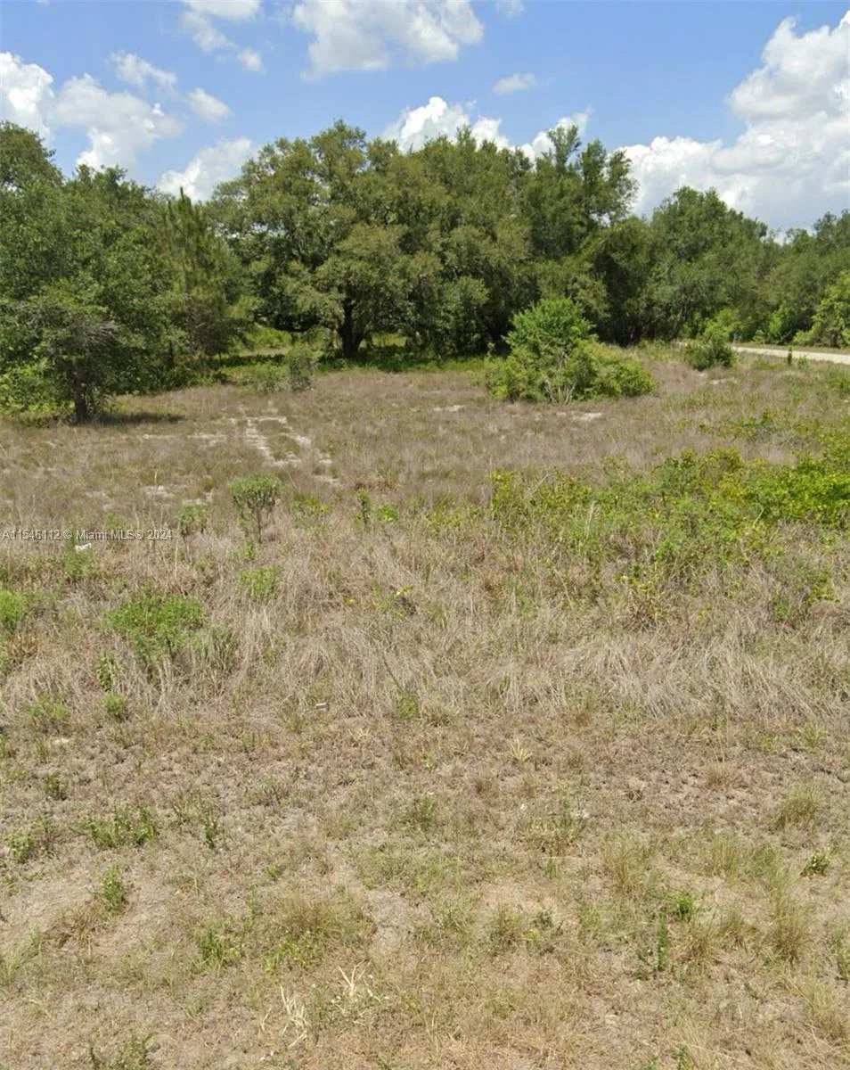 1803 GRANT AVE, Lehigh Acres, FL 33972 photo 4
