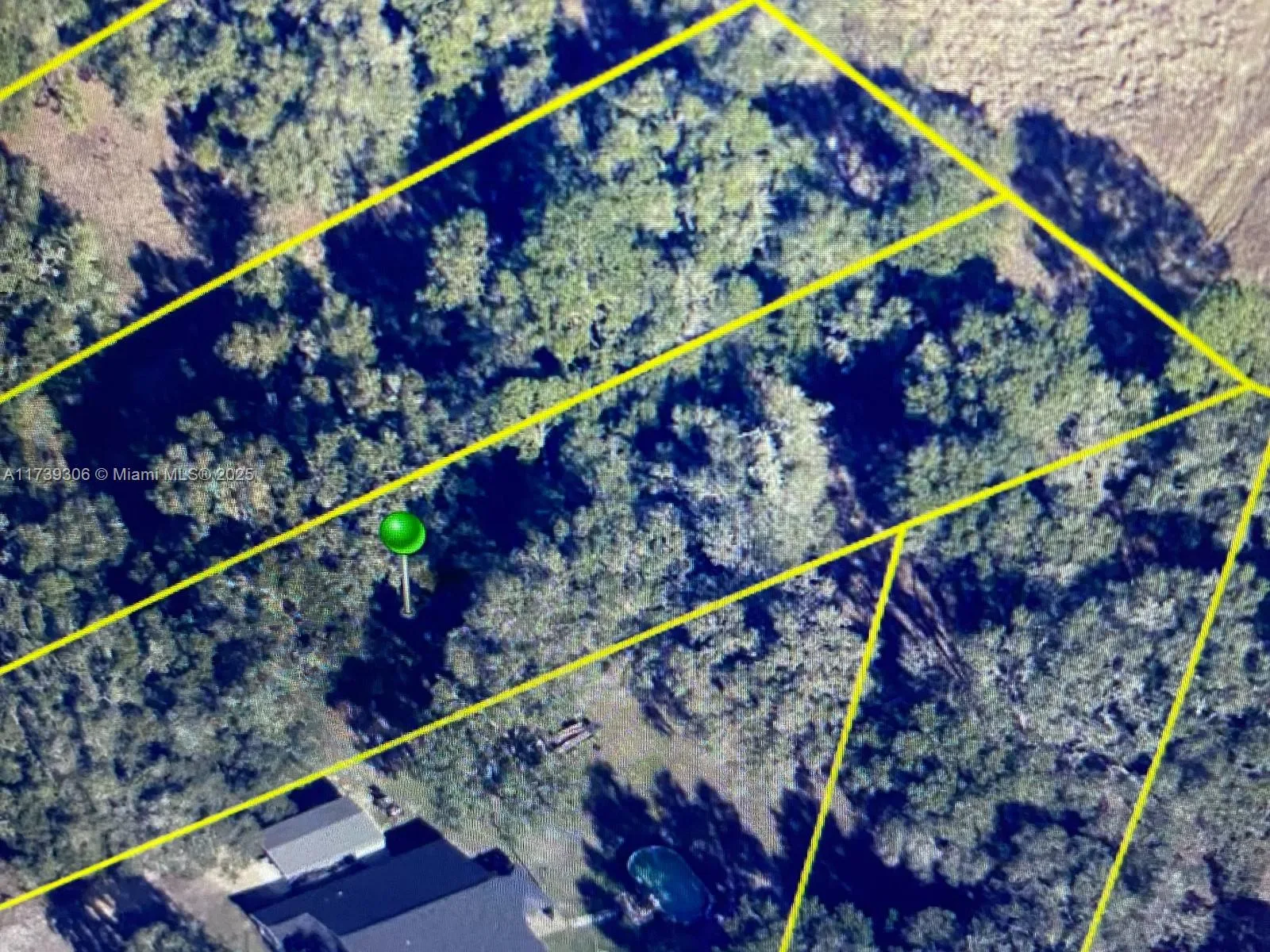 Norman Street, Other City - In The State Of Florida, FL 33597