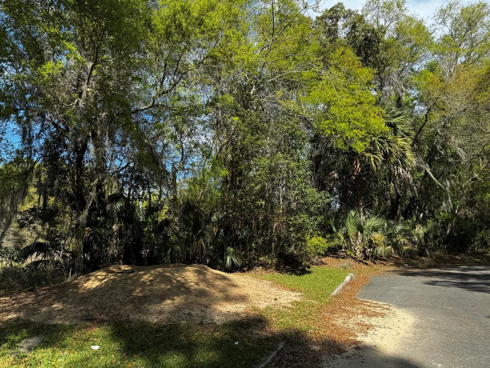 Tbd NE 4th Court, Ocala, FL 34479
