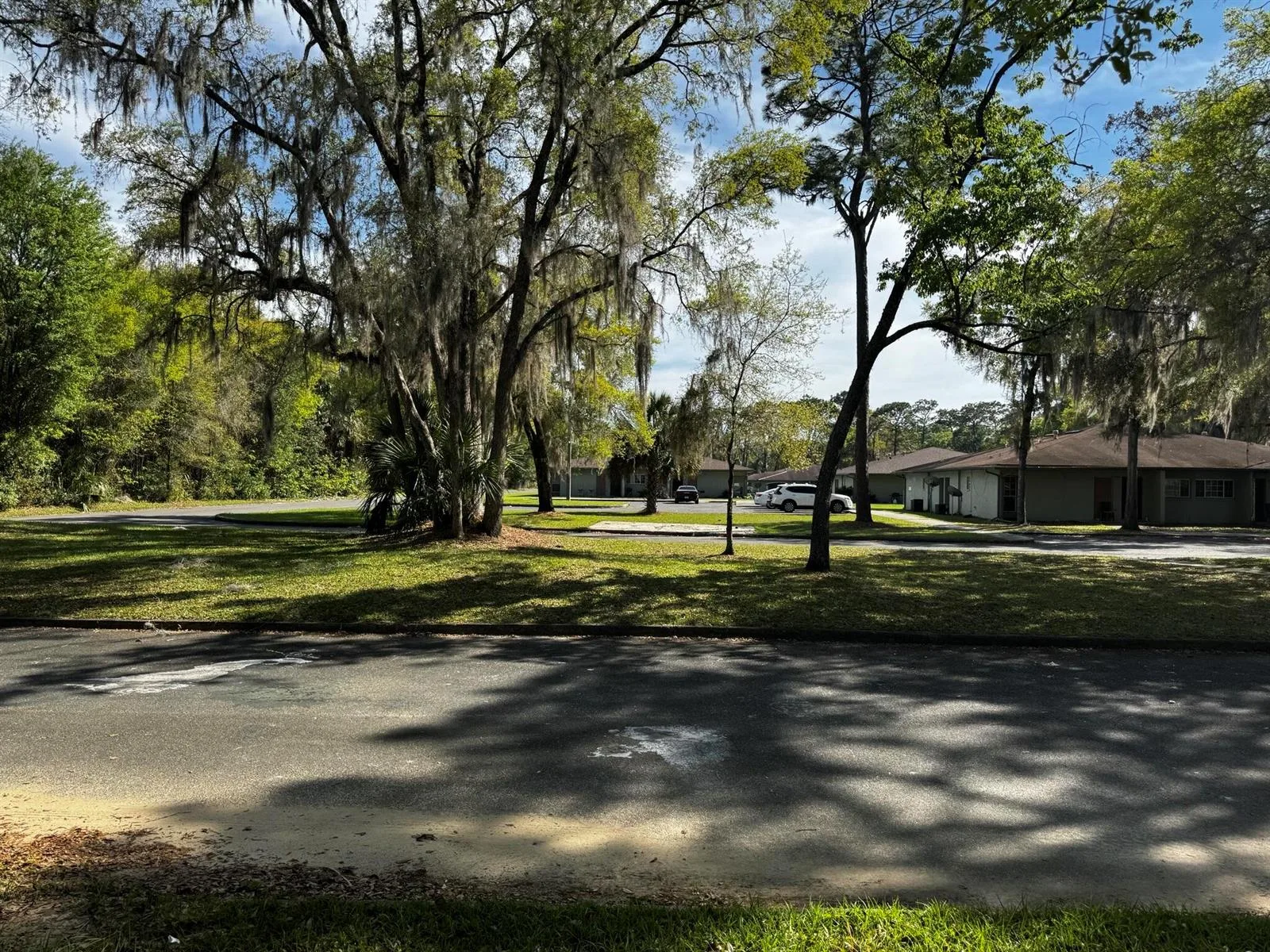 Tbd NE 4th Court, Ocala, FL 34479 photo 2
