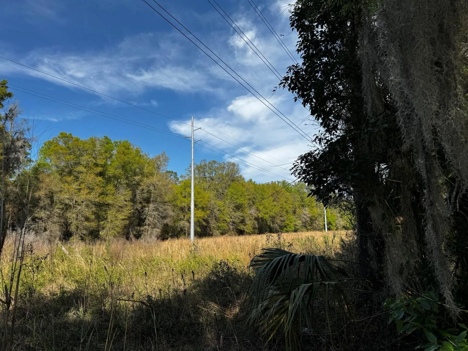 Tbd NE 4th Court, Ocala, FL 34479 photo 3