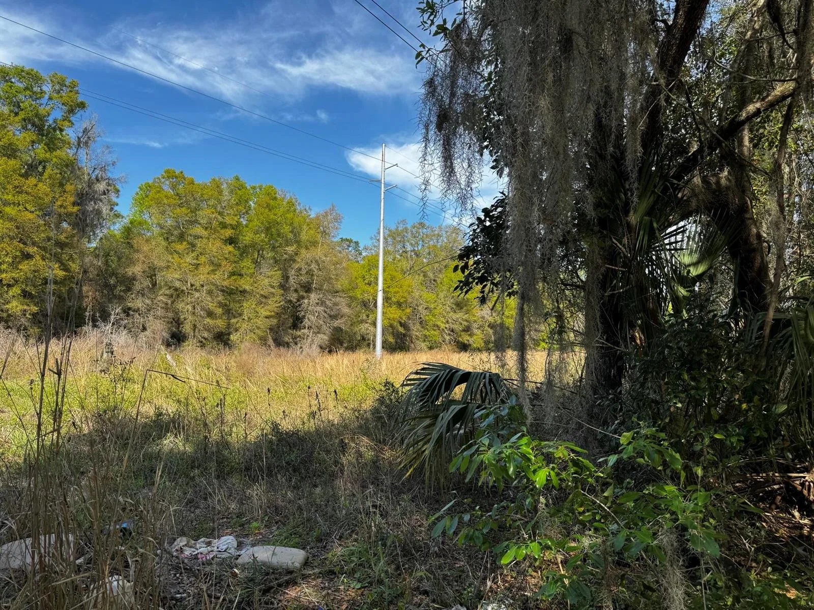 Tbd NE 4th Court, Ocala, FL 34479 photo 4