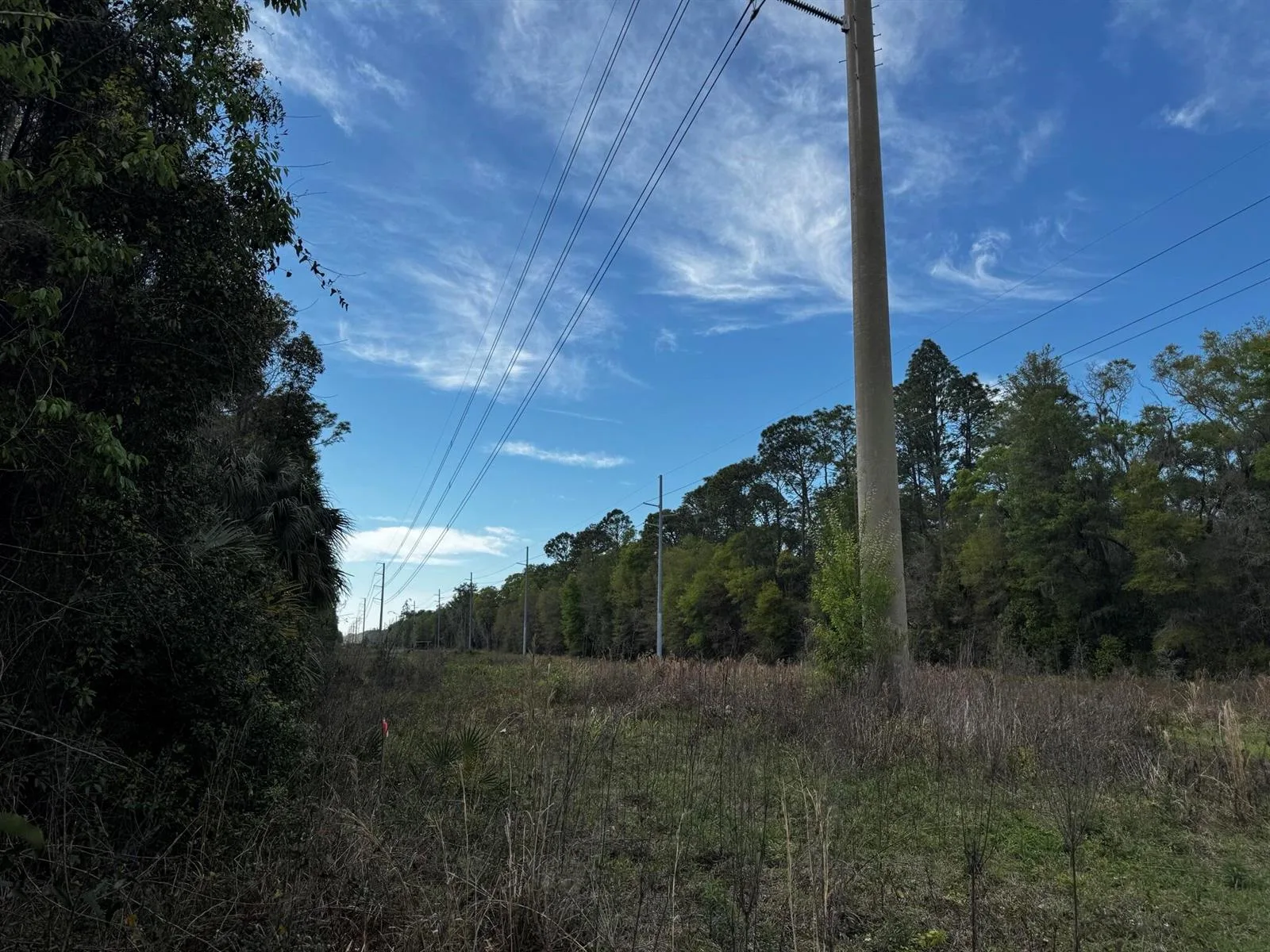 Tbd NE 4th Court, Ocala, FL 34479 photo 6