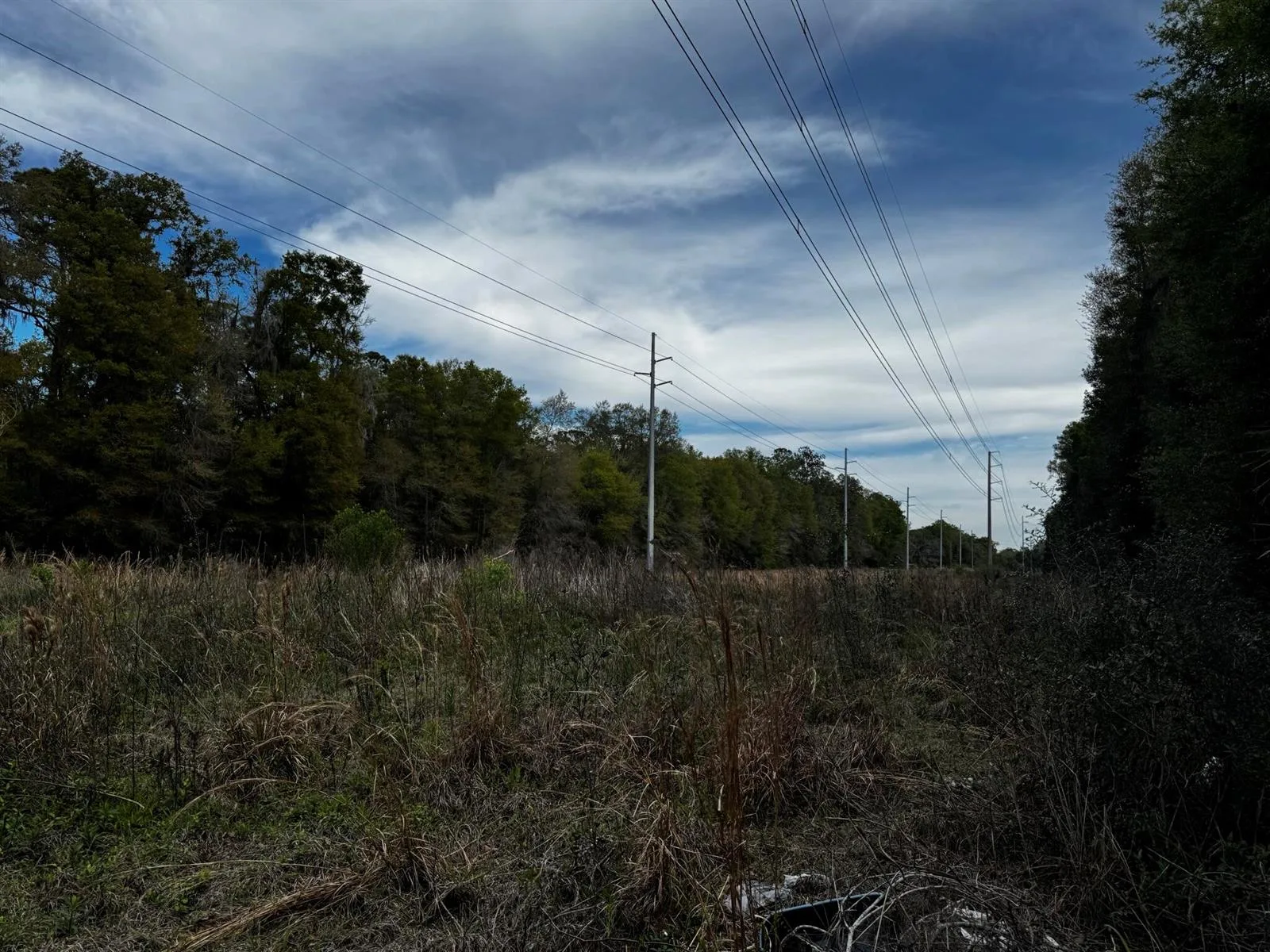 Tbd NE 4th Court, Ocala, FL 34479 photo 7