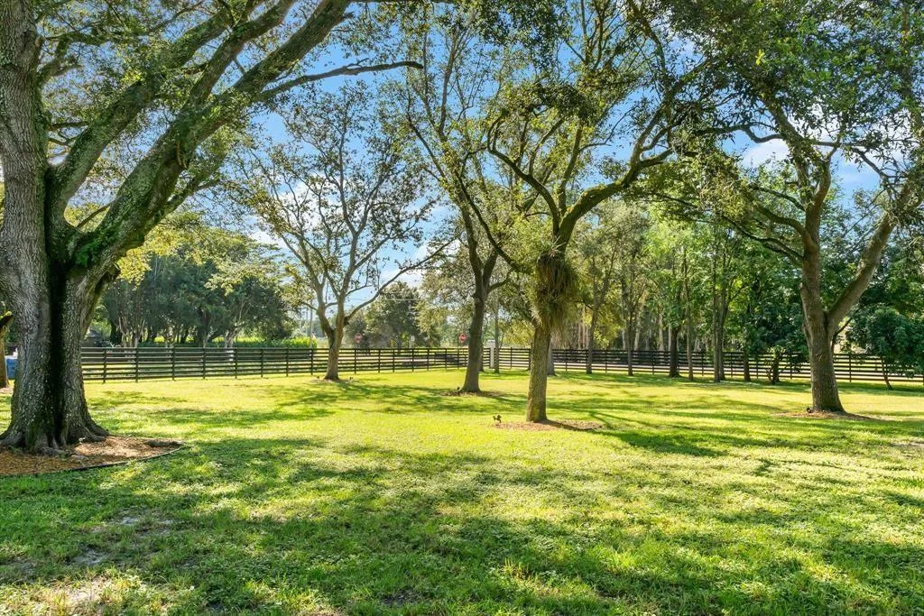6541 Melaleuca Road, Southwest Ranches, FL 33330 photo 2
