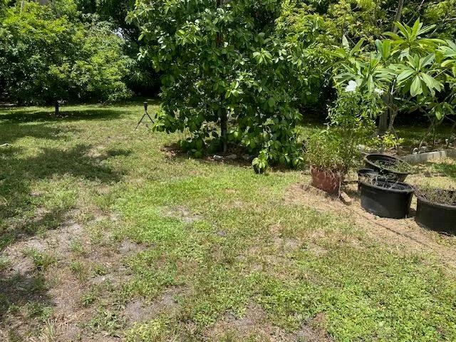 425 NW 7TH, Fort Lauderdale, FL 33311 photo 2